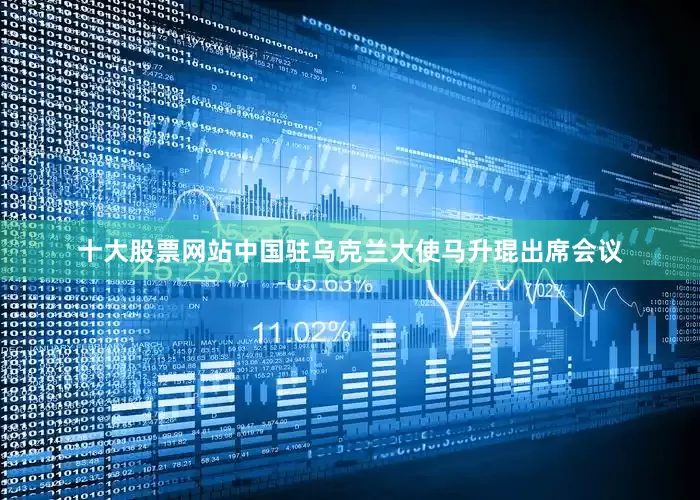 十大股票网站中国驻乌克兰大使马升琨出席会议