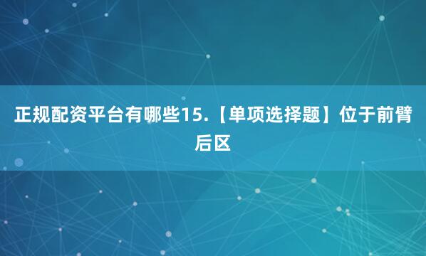 正规配资平台有哪些15.【单项选择题】位于前臂后区