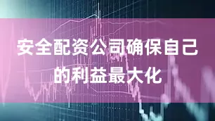 安全配资公司确保自己的利益最大化